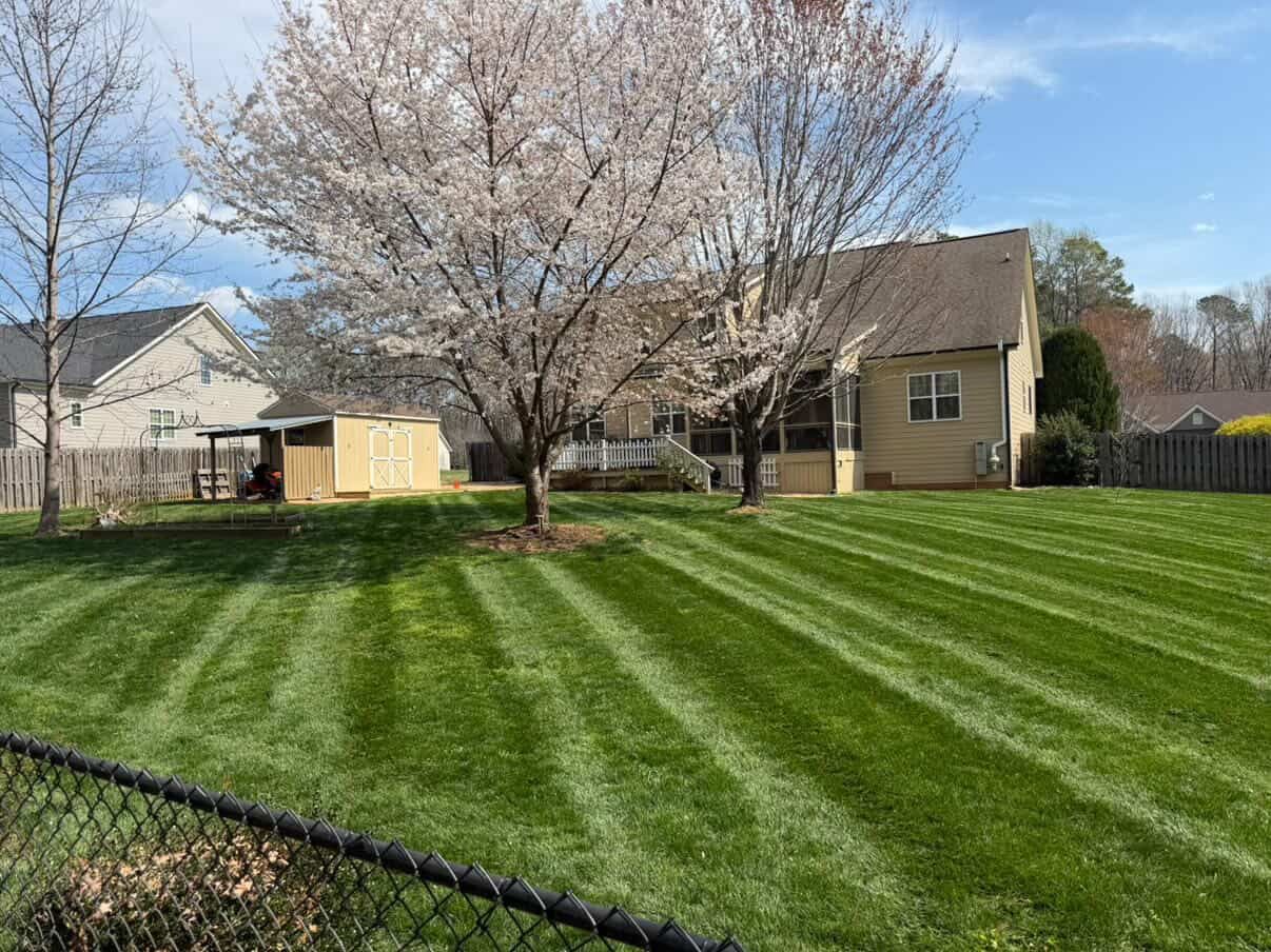 Premium Sod Installation